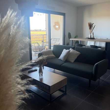 Appartement Vue Vigne Perpignan Exterior photo